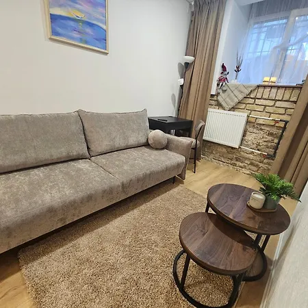 公寓 Urban Oasis 维尔纽斯