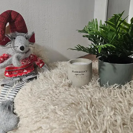 Urban Oasis * Vilnius