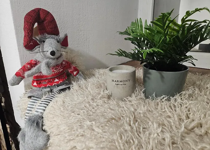 Urban Oasis * Vilnius